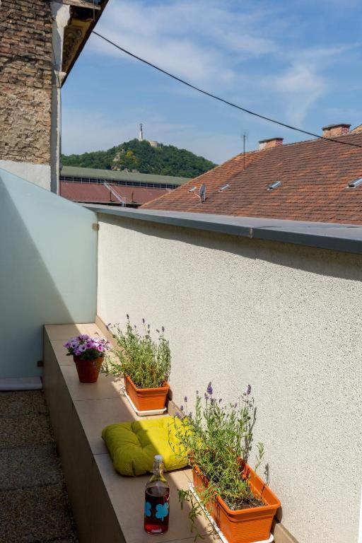Erkel Rooftop Suites Budapest Exteriör bild